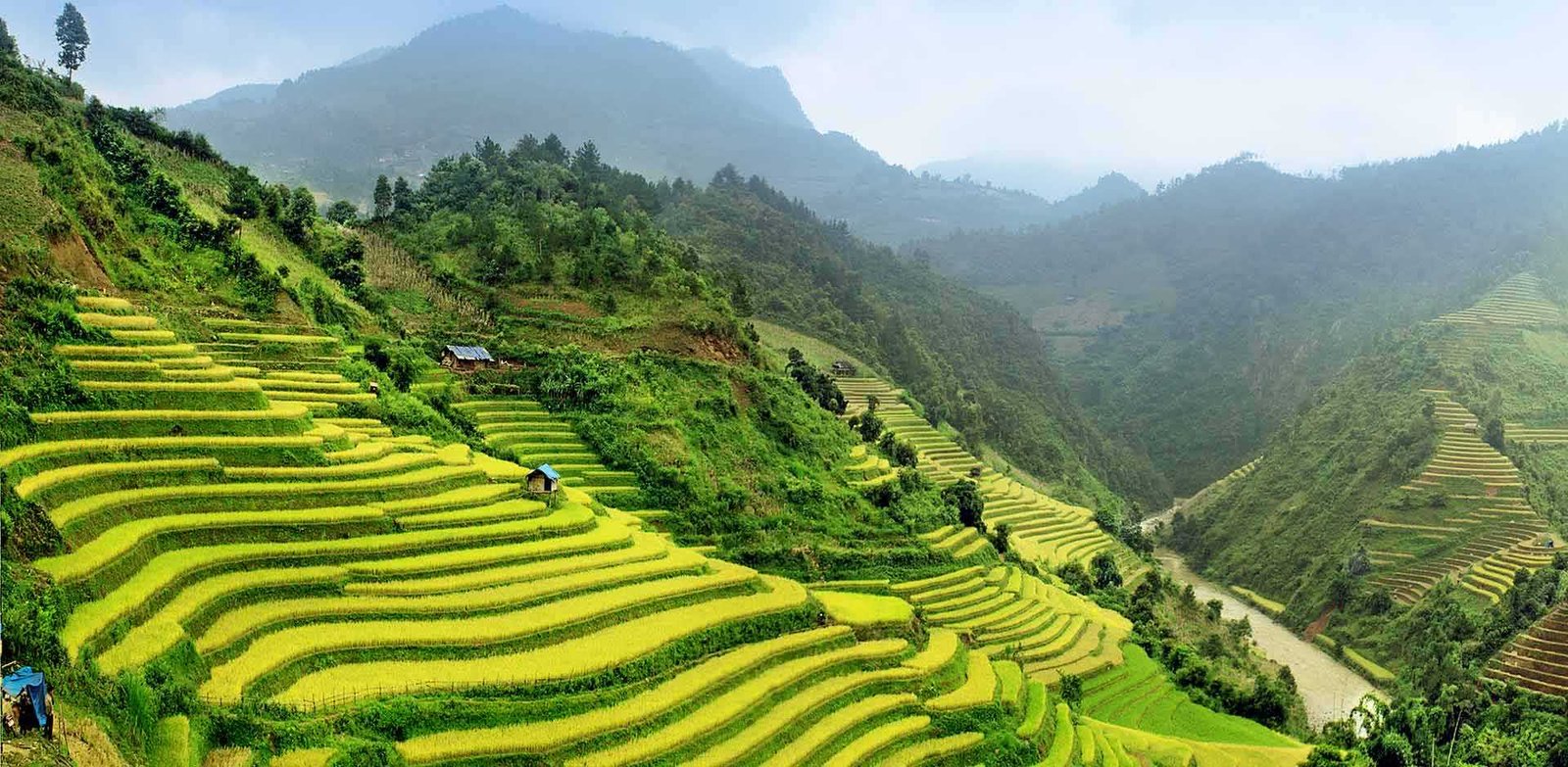 The Definitive Guide to a Cycling Tour with Homestay Sapa: Pedaling Through Culture and Clouds